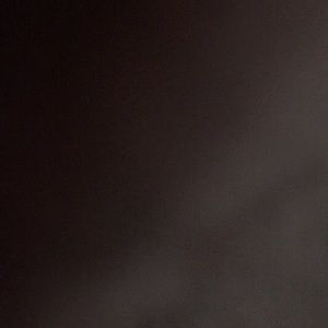 Meet your Posher, Shshannell